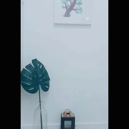 Casa Da Tia Binda - Refugio No Centro Historico * Monção