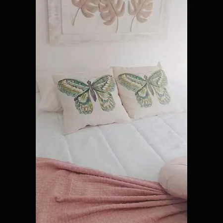 Casa Da Tia Binda - Refugio No Centro Historico *