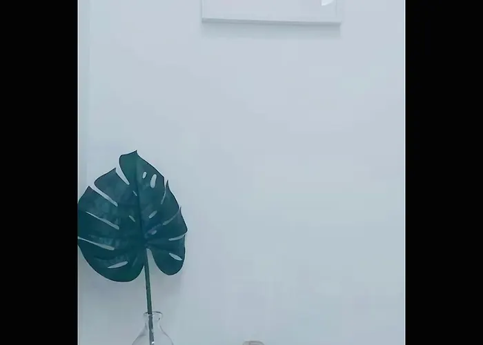 Casa Da Tia Binda - Refugio No Centro Historico * Monção